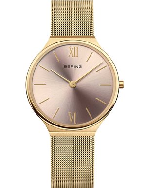 Bering 18434-336