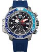 Citizen BJ2169-08E