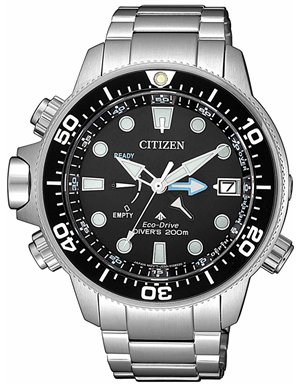 Citizen BN2031-85E