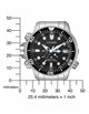 Citizen BN2031-85E