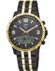 ETT Eco Tech Time EGS-11567-21M