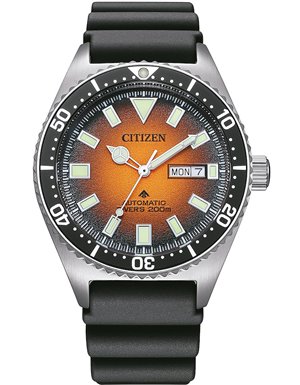 Citizen NY0120-01ZE