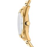 Spinnaker SP-5068-06