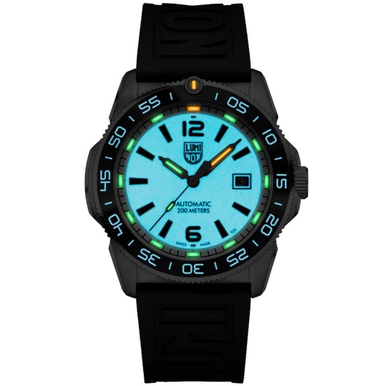 Luminox XS.3101.H