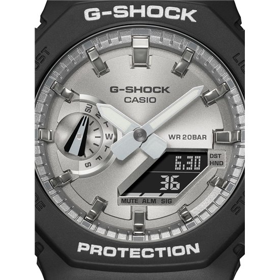 Casio GA-2100SB-1AER