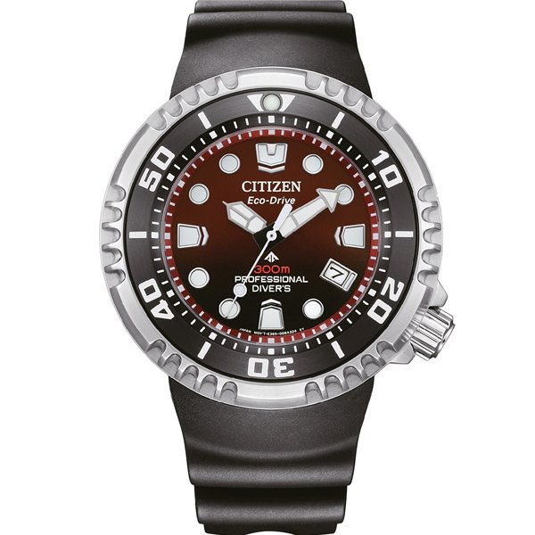 Citizen BN1024-01Z