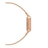 Daniel Wellington DW00100520