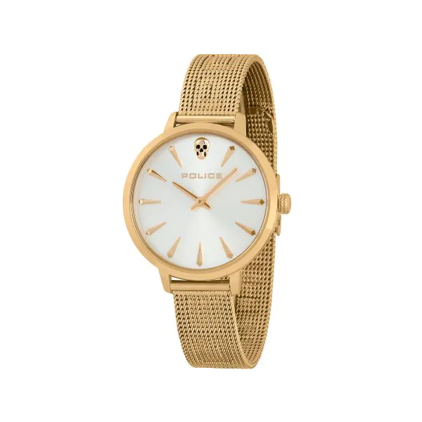 Police Pl16035Msg22M